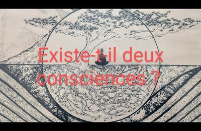 Y a-t-il deux consciences?