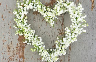 LE MUGUET, FLEUR DU BONHEUR