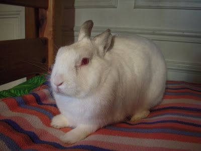 Contrôle de qualité surprise !