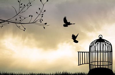 De la prison à la liberté