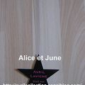Black Star Product - Décoration étoile Black Star