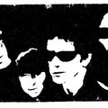 Velvet Underground au grand complet !