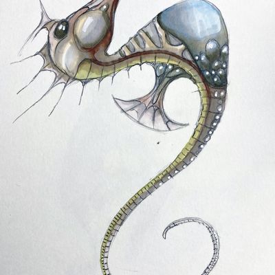 Essai - dessin-feutre PROMARKER