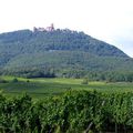 RANDONNEE SAINT-HIPPOLYTE - HAUT-KOENIGSBOURG