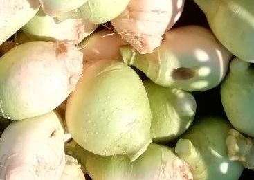 Panier de la semaine