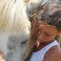 Poney et cheval: un point faible