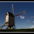 Moulin de Honschoote  (Nord)