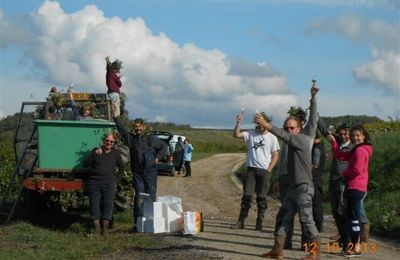 Vendanges 2013 : ça, c'est fait!...