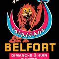 La carte postale de la 53e Bourse toutes collections à Belfort, du 19 janvier 2025 et l’exposition sur les Cavalcades de Belfort !