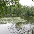 Le foyer rural de Saint Maximin vous propose une randonnée "des Etangs de Commelles à la Forêt de Coye"