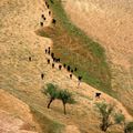 Trekking au Maroc  #1