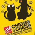 [GRIF'Informe] Chiens et chats, j’ai visité l’expo !