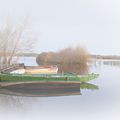 Brume sur le lac de Léon, Landes