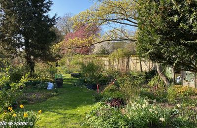Entretien en mars du Jardin Personnel d'André Eve
