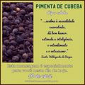 MENSAGEM DO DIA 10 DE ABRIL - PIMENTA DE CUBEBA