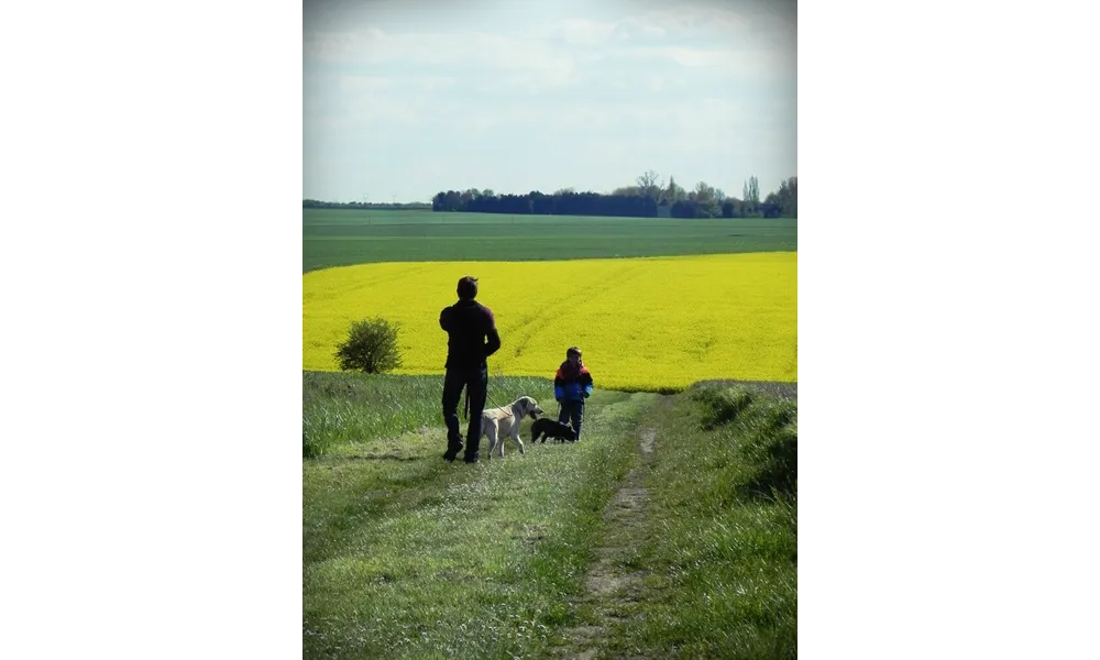 Week-end en photos : balade colorée et chasse aux petites choses de la nature
