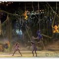 Spectacle de Tarzan