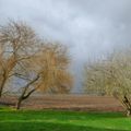 quand le temps pète et fait rage...