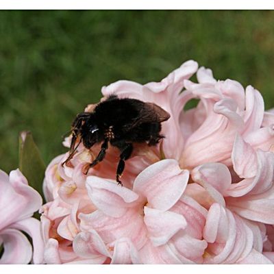 UNE JOURNEE A LA CAMPAGNE