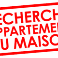 Recherche de logement