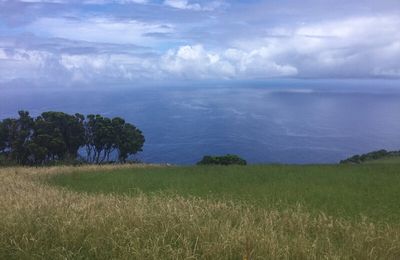 Les Açores: plongeon dans le vert et dans le bleu! juillet2020