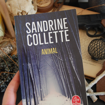 [ AVIS LECTURE ] Animal de Sandrine Collette