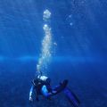 Les mystères de l'océan profond : une aventure captivante