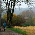 Jardinage d'automne - Ddo