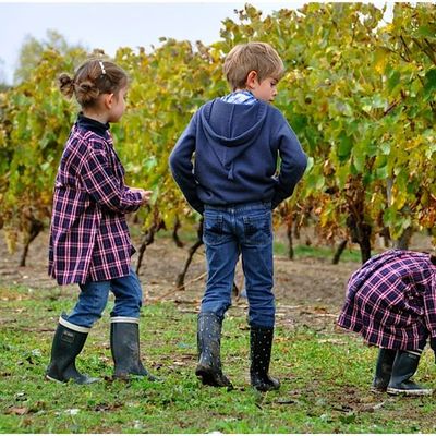 frère, soeurs......mode d'emploi