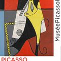Picasso - Tableaux magiques