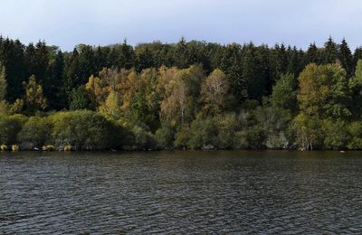 Les temps d'étang #9 Tous les 13, l'étang est à