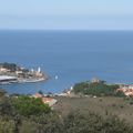 Jeudi 9 Mars : Port-Vendres/Plage Bernardi