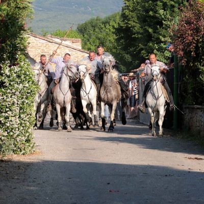 Abrivado (2)