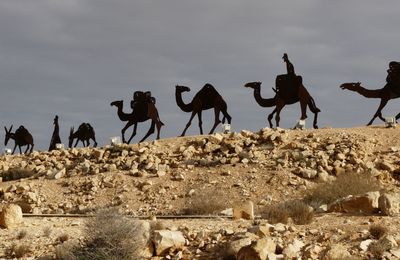 ILS SUIVENT L'ETOILE ...