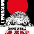 Comme un niglo