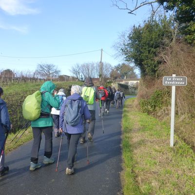 22 janvier : Fronsac - 12 km