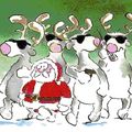 Le Noël VIPN d'Aurore, 72e inscrite