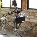 Trottinette (électrique se Développe ,et les Risques 