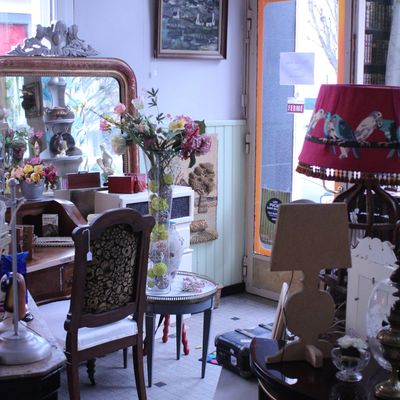 Ma p'tite chine... bien confinée..