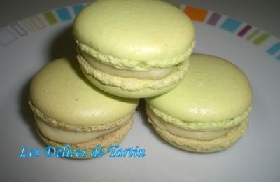 Macarons à l'huile d'olive