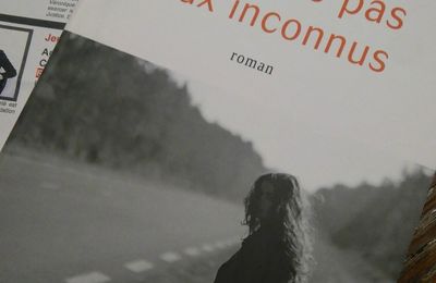 Ne parle pas aux inconnus- Sandra Reinflet