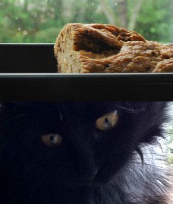 Du pain au lait de soja et sésame, et un merveilleux compagnon de solitude