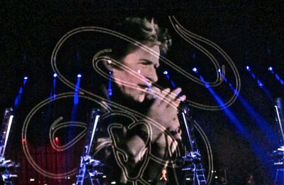 Hubert-Félix Thiéfaine fait oublier Bob Dylan (+ extraits vidéo)