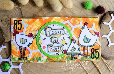 Histoires de Poules !