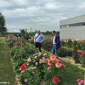 Au coeur du jury de sélection variétale des dahlias Label-Rouge