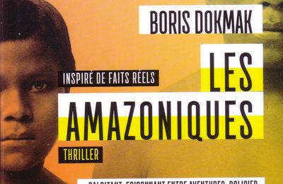 "Les amazoniques" de Boris Dokmak aux Éditions La Mécanique Générale