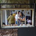 Dans une cabane de pêcheur à l'exposition de Bertrand