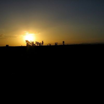 the sky and the morning