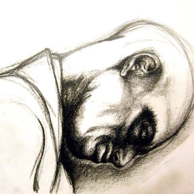 Quelques dessin de ma réalisation, fusain et