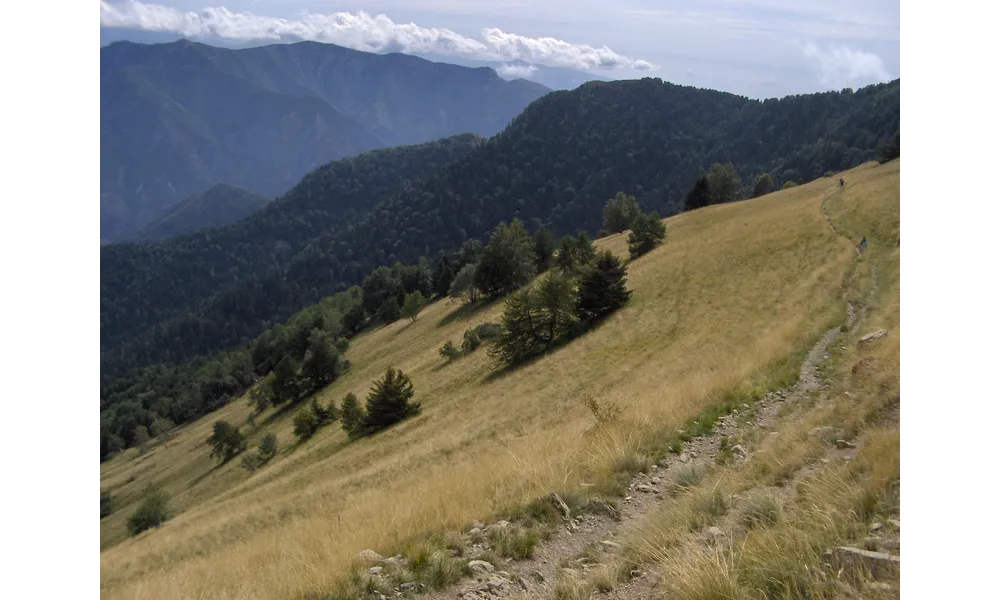 2015/14 Randonnée au massif de l'Authion